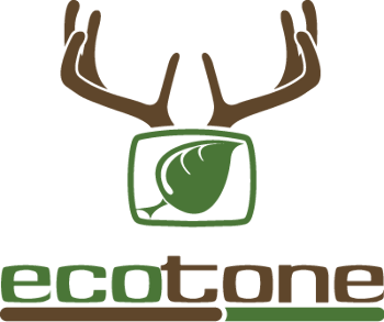 Écotone 